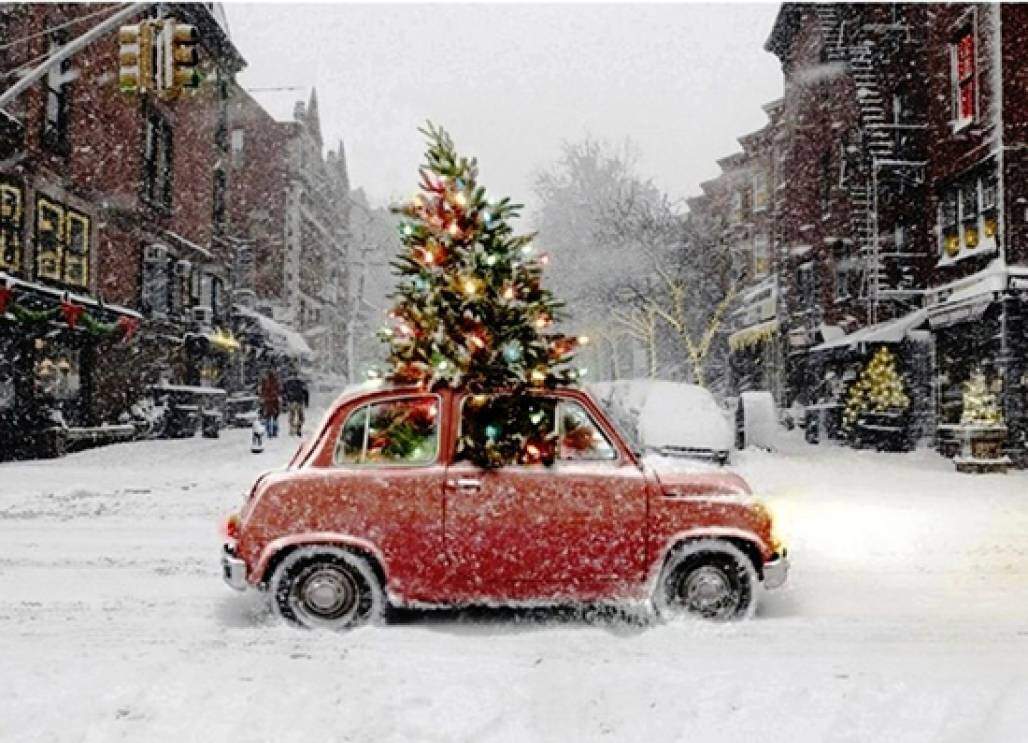 carro natal (Shutterstock) carro natal (Shutterstock)