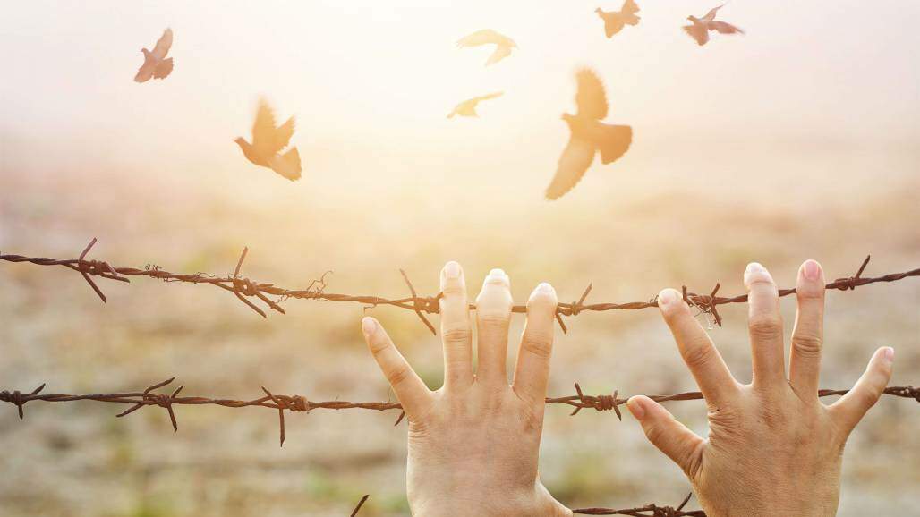Liberdade (Shutterstock) Liberdade (Shutterstock)