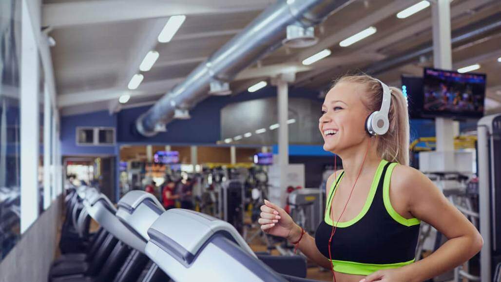 musica academia (shutterstock) musica academia (shutterstock)