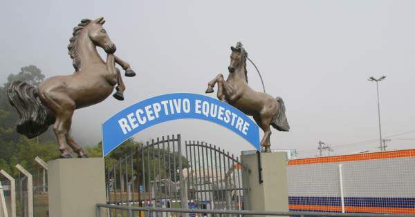 Receptivo Equestre