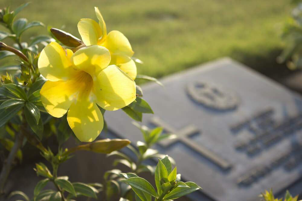 Qual o sentido de ir ao cemitério no Dia de Finados?