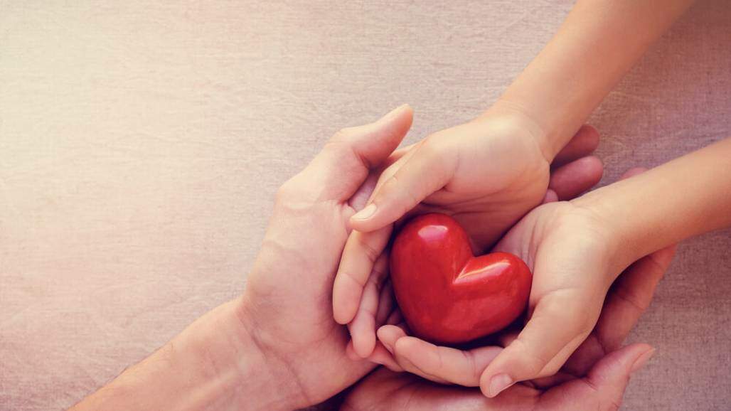 amor cuidado vida coração (shutterstock) amor cuidado vida coração (shutterstock)