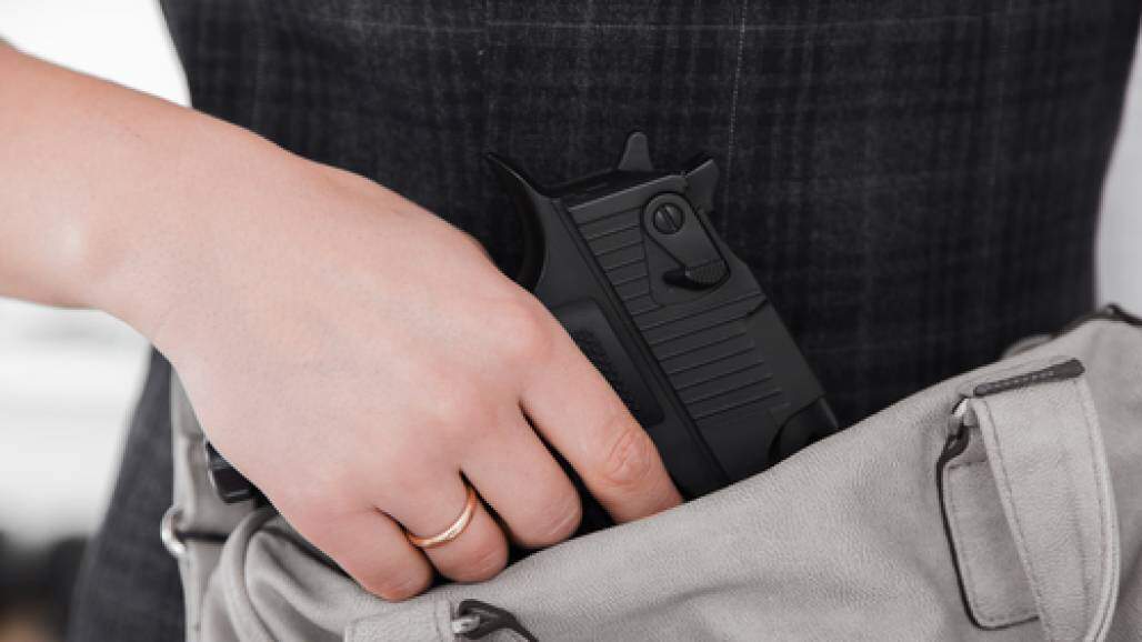 posse de armas (Shutterstock) posse de armas (Shutterstock)