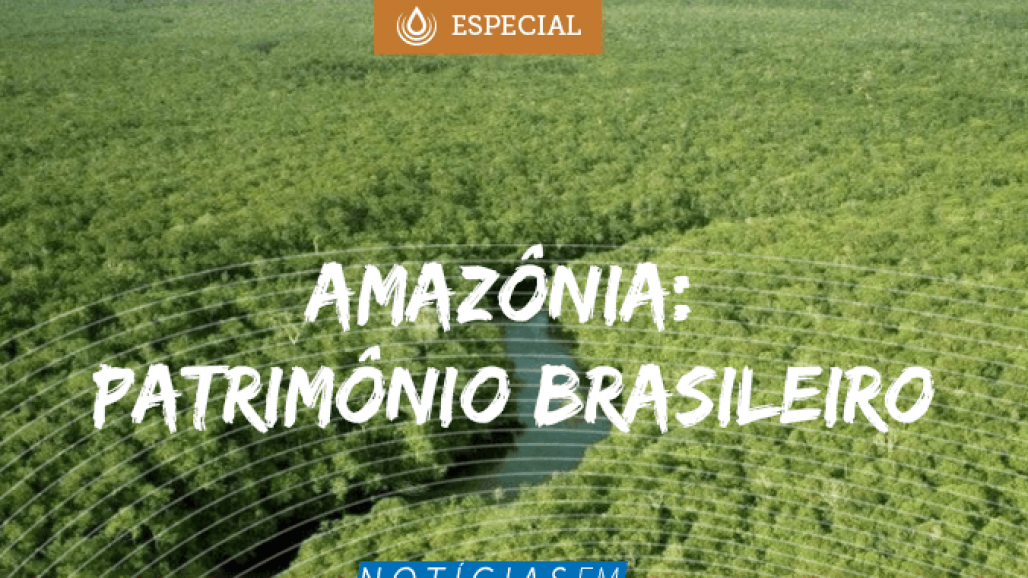 676X500-amazonia-patrimonio-brasileiro 676X500-amazonia-patrimonio-brasileiro