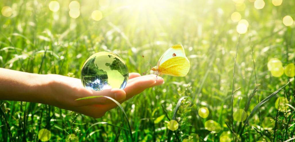 meio ambiente ecologia cuidado casa comum (Shutterstock) meio ambiente ecologia cuidado casa comum (Shutterstock)
