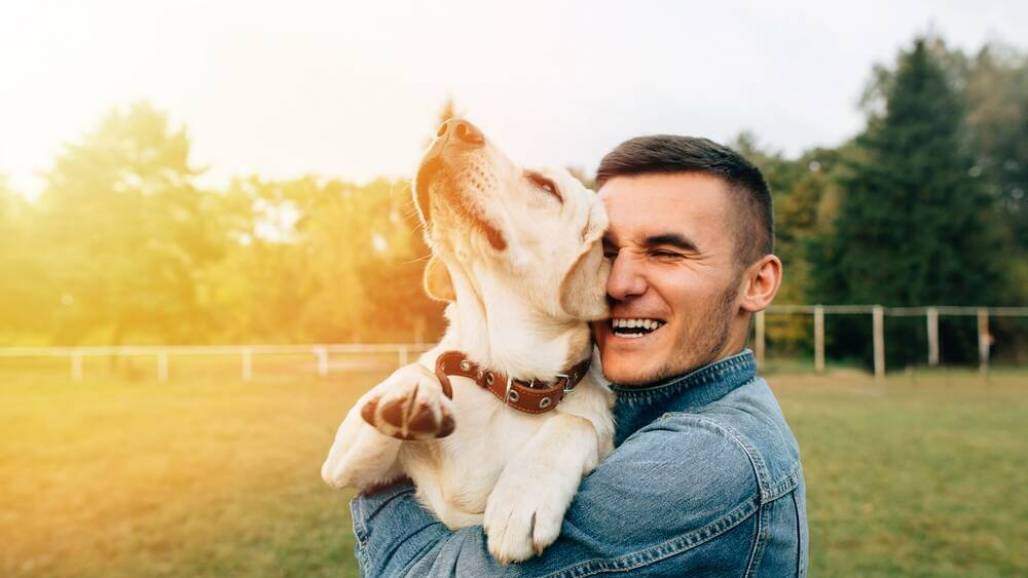 cachorro (Shutterstock) cachorro (Shutterstock)