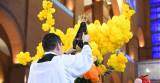 Missa com crianças às 7h00 - Solenidade de Nossa Senhora Aparecida