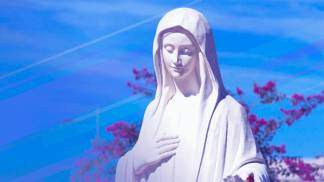 nossa senhora rainha paz nossa senhora rainha paz