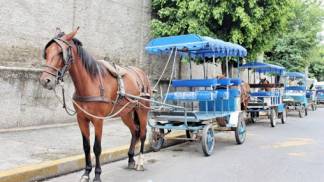 charrete aparecida charrete aparecida