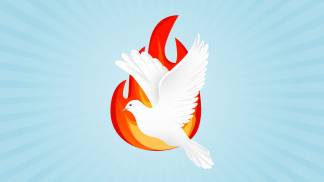 21_447_dm_banner_site_1140x650px_reze_novena 21_447_dm_banner_site_1140x650px_reze_novena