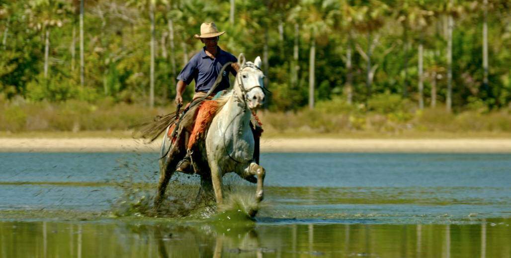 Pantanal #02 - Documentario (Alex Araripe )