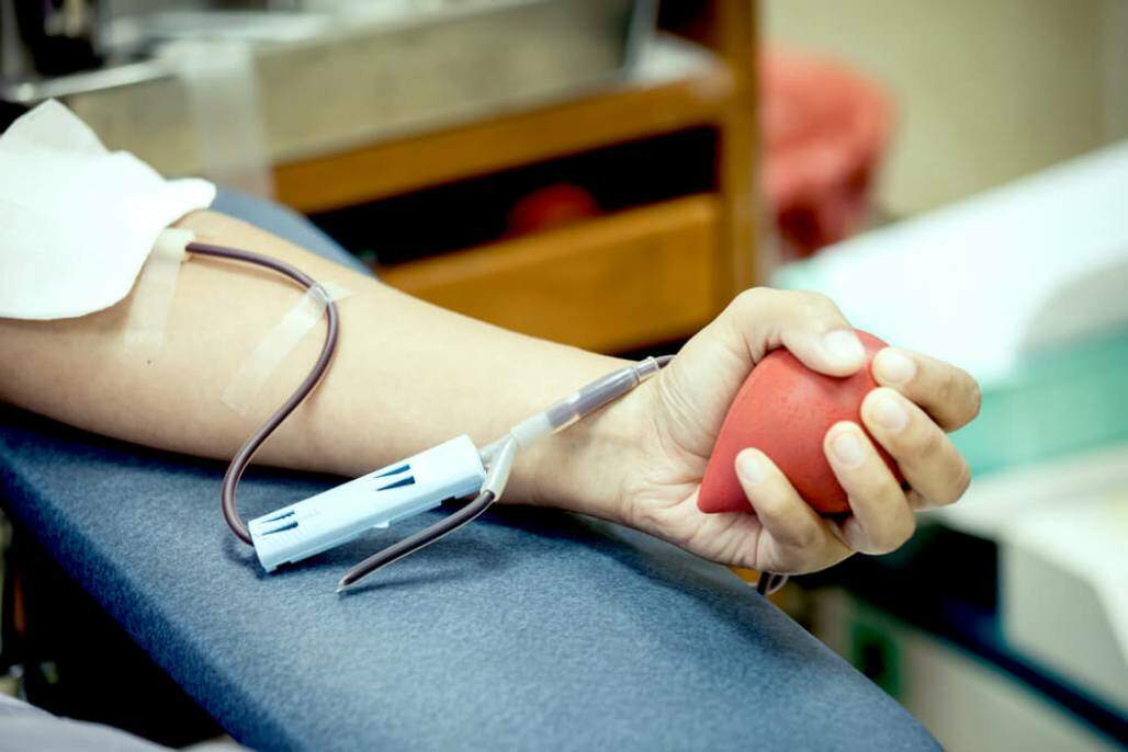 doação-sangue (Shutterstock) doação-sangue (Shutterstock)