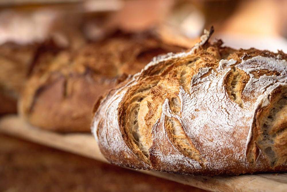 Curiosidades da História: Uma breve história do pão