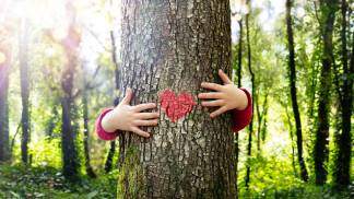 Mãos de criança abraçando árvore