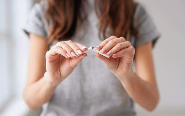 Gorynvd/shutterstock