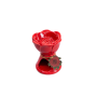 5. Incensário Vermelho no Formato de Rosa (Arquivo pessoal)