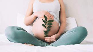 Mulher grávida segura planta de broto verde perto de sua barriga como símbolo de nova vida