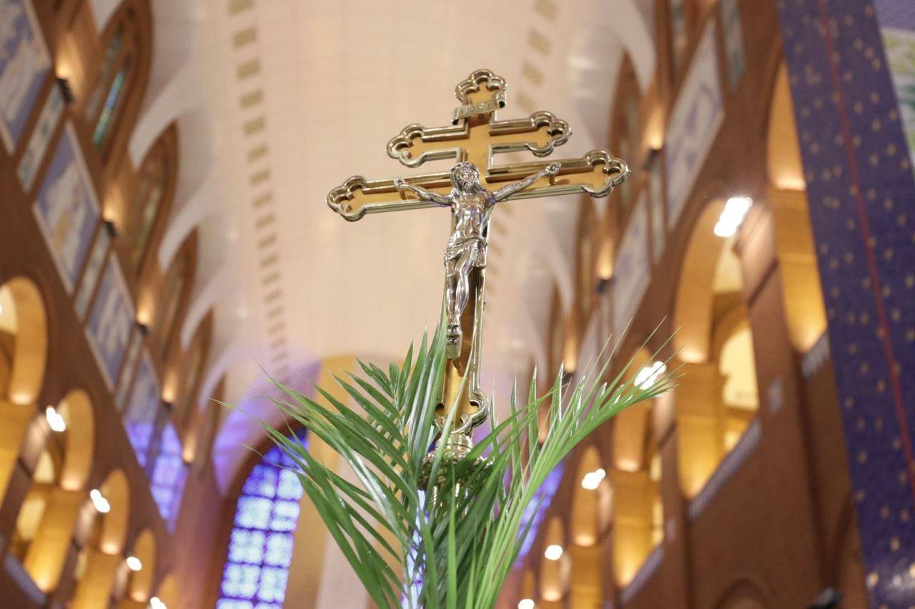 João Pedro Oliveira - A12