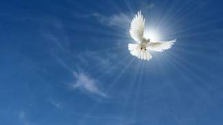 pomba do espírito santo no céu