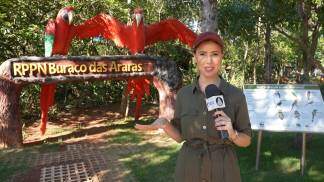 ARQ Bonito - Reprodução TV Aparecida 