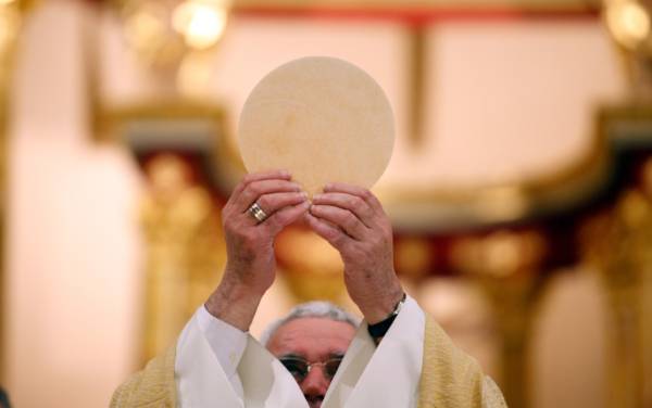 godongphoto/ shutterstock