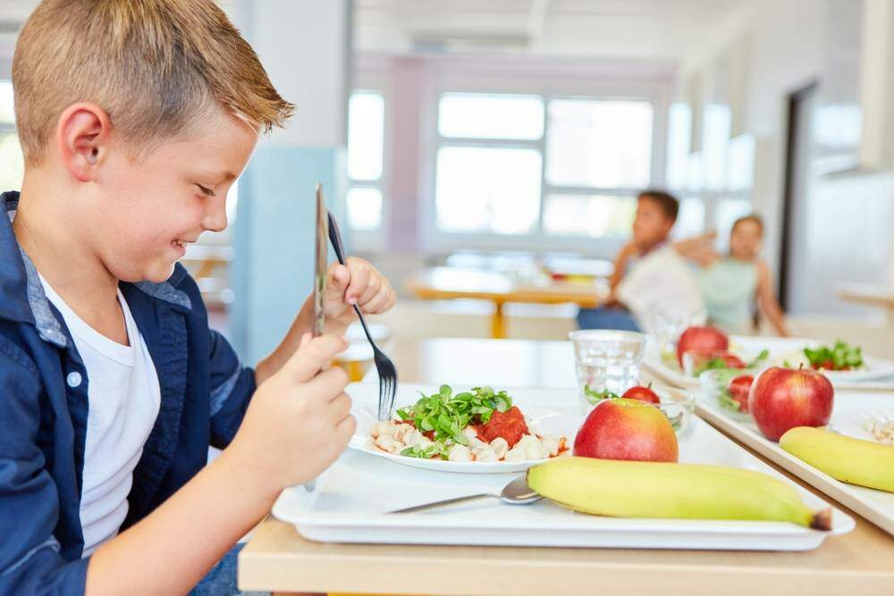 O impacto do ambiente e da cultura alimentar na saúde física e mental