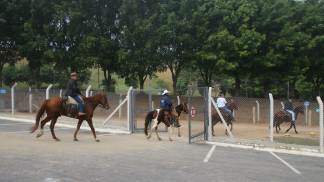 Receptivo Equestre antiga 2