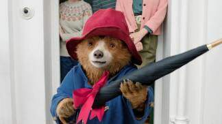 Urso Paddington