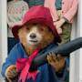 Urso Paddington