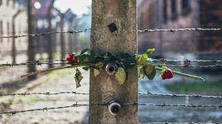 Rosas entrelaçadas nas grades do campo de cocentração nazista