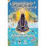 imagem-novena-padroeira