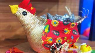 Galinha DIY FVM