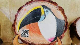 Pintura Tucano FVM