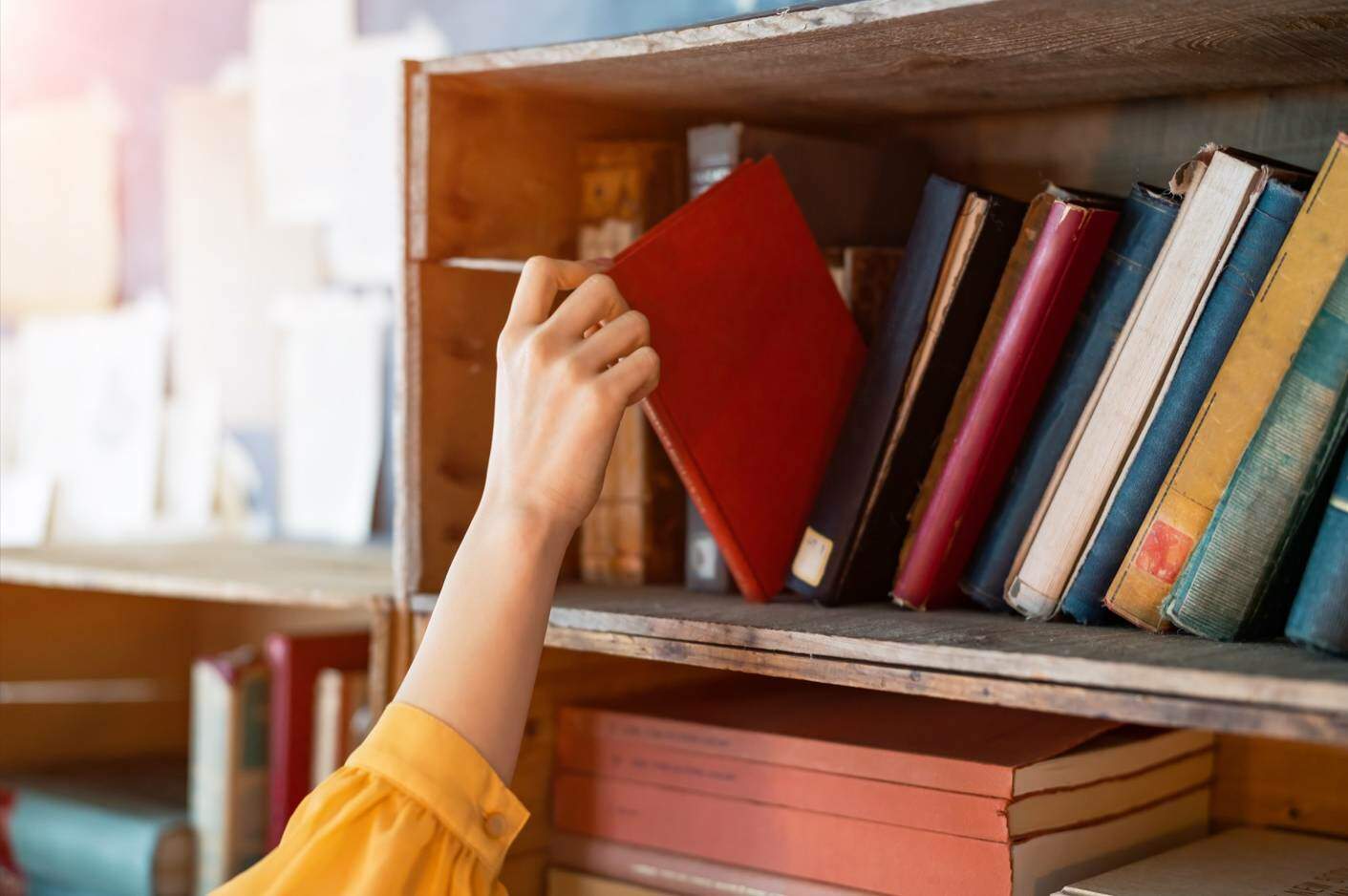 Aprenda algo novo nas férias: 5 assuntos para se aprofundar!