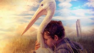 Amigos Para Sempre - Divulgação