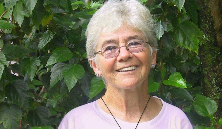 Papa recorda Ir. Dorothy e seu exemplo de “esperança desarmada”