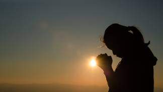 Vem e segue-me - nov