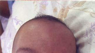 hISTÓRIAS DE FÉ - rda dez