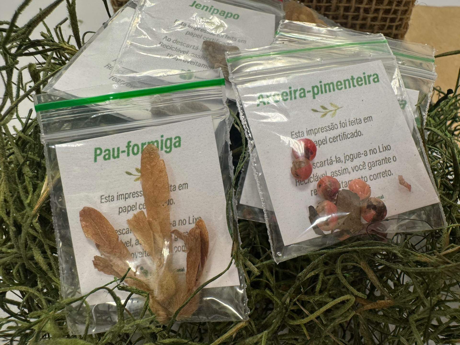 Daniele Souza/ Comunicação Interna SN