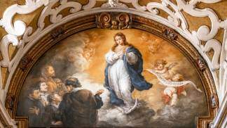 imagem da imaculada conceição