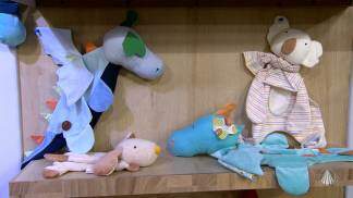 naninha-cachorro-pingo-faça-você-mesmo