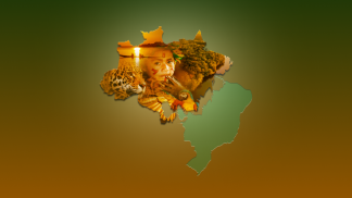 Centro Cultural Missionário