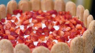 charlotte-morango-sdv