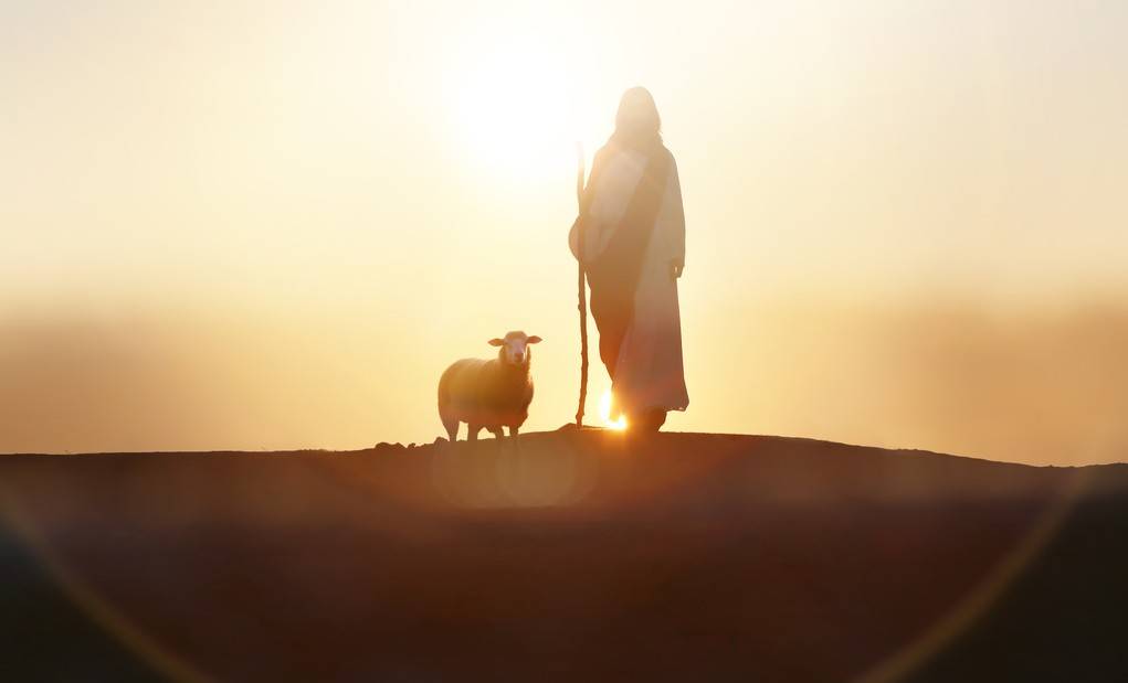 artpluskr/Adobe Stock