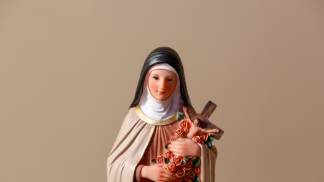 imagem de santa teresinha do menino jesus