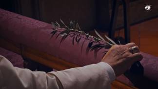 papa leao xiv segurando um galho de oliveira