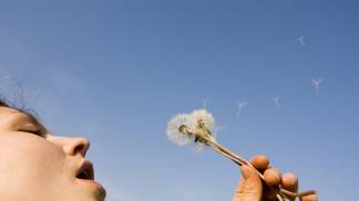 Mulher soprando dandelina