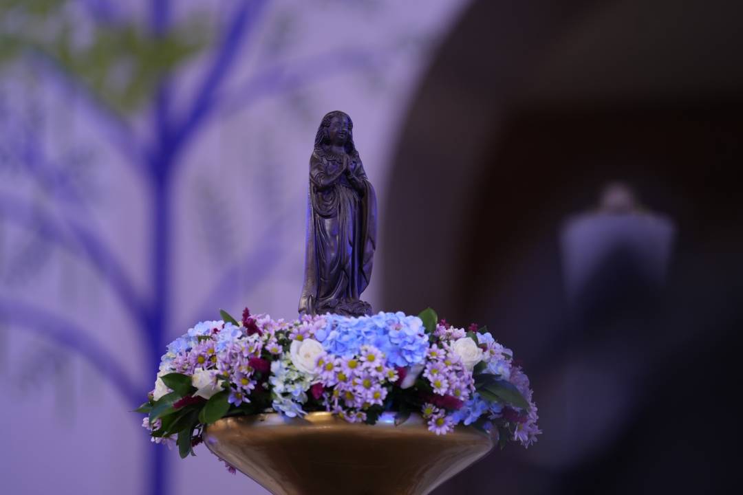 José Eduardo Castro