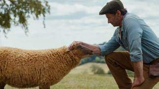 Cartaz do filme As ovelhas detetives