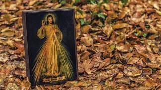 ícone de Jesus misericordioso no chão com folhas